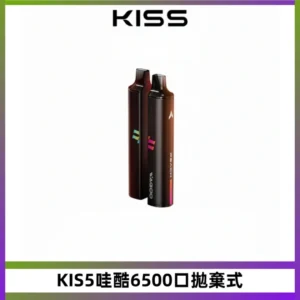 KIS5哇酷6500口拋棄式 | 自由混搭雙口味 | 雙芯組合